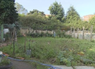 Veciños do Grove afectados polo avance da maleza da antiga residencia Santo Ángel Veciños do Grove afectados polo avance da maleza da antiga residencia Santo Ángel