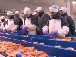 A Xunta amplía a concesión de Cefrico no porto de Vilagarcía ata 2043