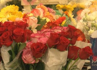 Vilagarcía volve instalar o seu propio mercado das flores ante a demanda do Día de Defuntos Vilagarcía volve instalar o seu propio mercado das flores ante a demanda do Día de Defuntos