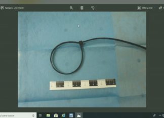 Os forenses coinciden e sinalan a brida como a arma coa que se estrangulou a Diana Os forenses coinciden e sinalan a brida como a arma coa que se estrangulou a Diana