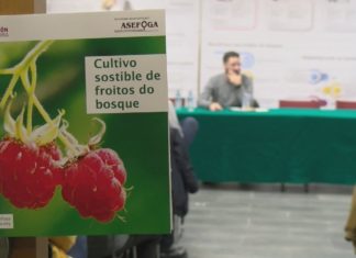 Os froitos do bosquen buscan oco entre os cultivos do Salnés