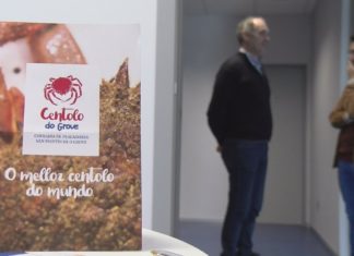 A mellor centola do mundo, con selo identificativo propio