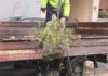 Cambados recupera 5 pezas da canalización do antigo convento de San Francisco con máis de 400 anos de antigüidade Cambados recupera 5 pezas da canalización do antigo convento de San Francisco con máis de 400 anos de antigüidade