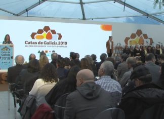 Moraña acolle a entrega de premios das catas de mel e queixos de Galicia