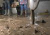 Unha familia de Ribadumia, impotente ante o asolagamento do baixo da súa casa