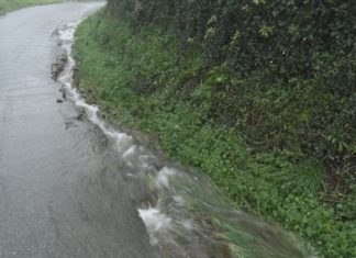 O BNG da Pobra insiste na necesidade de limpar os camiños rurais
