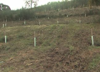 Os comuneiros de Vilagarcía, fartos de recoller dos seus montes uralitas, neveiras e sofás