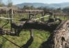 On-Farm, o programa europeo que trata de salvar as uvas en perigo de extinción