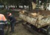 Cae unha póla de catro toneladas nos xardíns da alameda de Noia