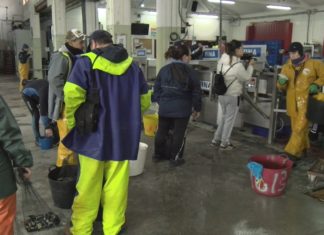Optimismo na volta ó traballo dos mariscadores de Noia