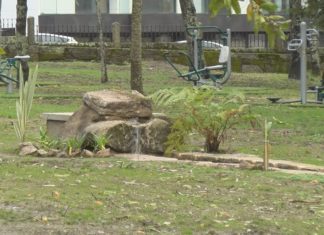 Sanxenxo recupera o parque de Punta Vicaño con 80 novas árbores e un estanque