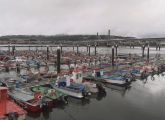 A suba dos niveis de toxina confirma a prohibición do marisqueo na ría de Noia