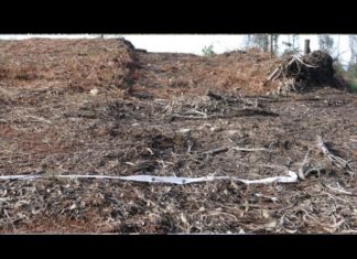 Nova desfeita no patrimonio arqueolóxico no Barbanza