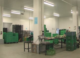 A horticultura mantén a súa demanda a pesar da crise do coronavirus