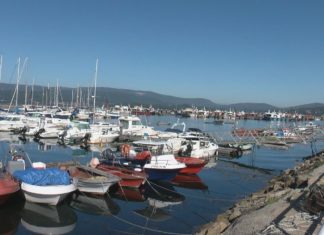 O sector do mar reclama un paro da actividade marisqueira por forza maior