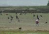 Os GALP poñen en valor ó sector pesqueiro coa campaña ‘Queda co noso mar’