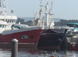 Galicia demanda un protocolo de actuación específico para os casos de coronavirus nos barcos