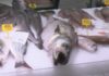 A Xunta pon en marcha unha campaña para fomentar o consumo de peixe e marisco