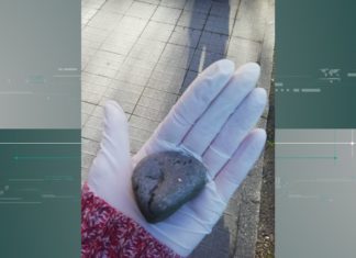 Lanzan unha pedra a un veciña de Pontevedra que paseaba co seu can