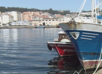 Cinco propostas para tratar de paliar a crise do sector do mar polo coronavirus