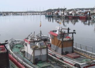 A confraría rianxeira requírelle a Portos o arranxo urxente das deficiencias do peirao