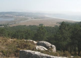 A Lanzada é do Grove