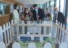 Vilanova reivindícase como porto do Camiño cara o Xacobeo 2021
