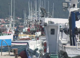 Preocupación entre o cerco galego tras esgota-la cota de sardiña