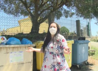 A protectora Moura denuncia a aparición dunha camada de gatos nun contedor do lixo