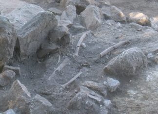 Vilanova enche un baleiro da historia de Cálago cuns ósos da época sueva