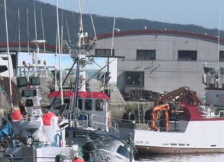 ACERGA compra cota de sardiña ós barcos do golfo de Cádiz para reabrir a pescaría