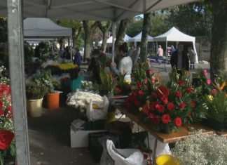 O Mercado das Flores de Cambados abre de novo as portas con restricións e moitos visitantes O Mercado das Flores de Cambados abre de novo as portas con restricións e moitos visitantes