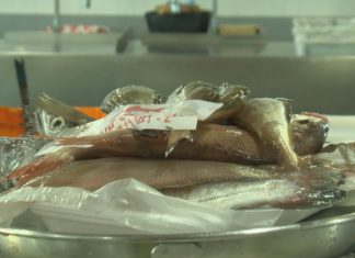 Tres praceiras de Vilagarcía súmanse á aplicación Too Good To Go para vender os seus peixes Tres praceiras de Vilagarcía súmanse á aplicación To Good To Go para vender os seus peixes