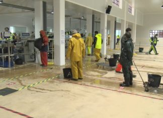 Os mariscadores noieses volven ó traballo despois do peche preventivo de onte