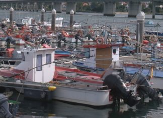 A toxina volve interromper a campaña marisqueira en Noia
