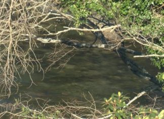 A Xunta acondiciona os treitos de varios ríos en Porto do Son e Noia