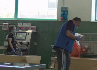 A confraría de Rianxo pechou o ano cunha baixada de 2,5 millóns na factuación