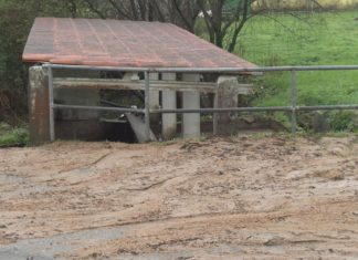 A veciñanza de Guillán denuncia os problemas que as obras dun viñedo están causar na zona A veciñanza de Guillán denuncia os problemas que as obras dun viñedo están causar na zona