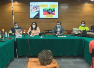A Mancomunidade do Salnés ármase para loitar contra a avespa asiática A Mancomunidade do Salnés ármase para loitar contra a avespa asiática