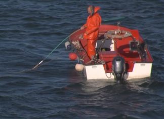 O PSdeG pídelle á Xunta que non deixe morrer o marisqueo dos Lombos do Ulla