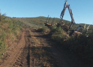Rianxo garante a protección dos terreos públicos ante posibles danos por mor das cortas forestais