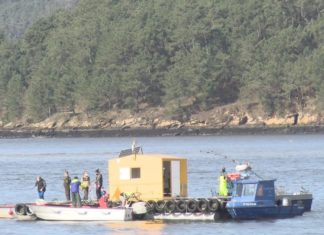 Escaseza de marisco na volta ós areais dos mariscadores noieses
