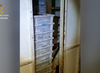 Incautan máis de cinco toneladas de xarda agochadas nas bodegas dun arrastreiro en Muros