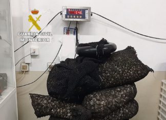 A Garda Civil comisa en Muros máis de 200 quilos de marisco ilegal