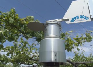 Viticast, un revolucionario proxecto que podería reducir o uso de fitosanitarios ata nun 40%