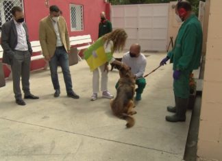 O CAAN adquire un equipo de radio diagnóstico veterinario que permitirá examinar aos animales no propio centro O CAAN adquire un equipo de radio diagnóstico veterinario que permitirá examinar aos animales no propio centro
