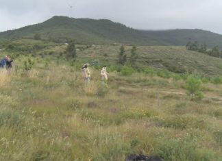 A fundación Arume e a cooperativa Clun restauran máis de 70 hectáreas de monte no concello de Caldas A fundación Arume e a cooperativa Clun restauran máis de 70 hectáreas de monte no concello de Caldas