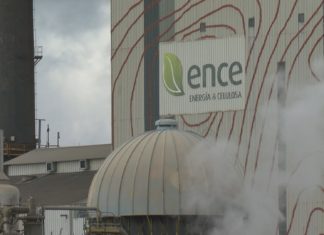Ence inviste 10 millóns de euros durante a súa parada técnica anual