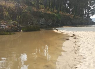 O BNG de Porto do Son denuncia un vertido de fecais ó río Sancho