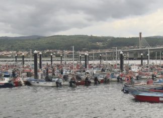 A presenza de toxina na Ría obriga a suspender cautelarmente o inicio da campaña marisqueira en Noia